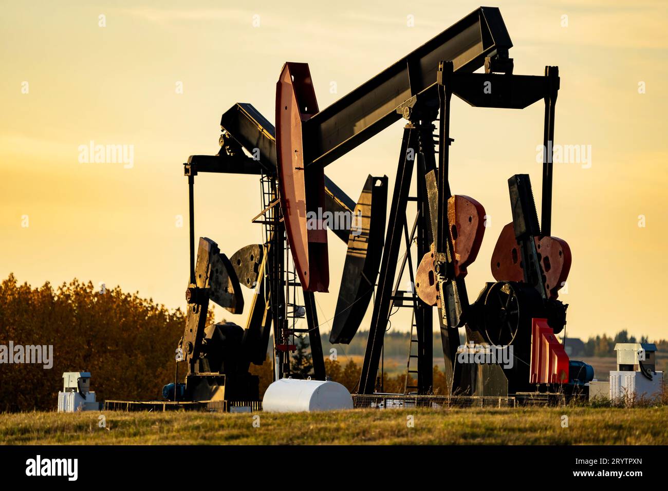 Pumpe Jacks arbeiten bei Sonnenuntergang im Rocky View County, Alberta, Kanada auf landwirtschaftlichen Flächen, die im Besitz von Öl- und Gasunternehmen sind. Stockfoto