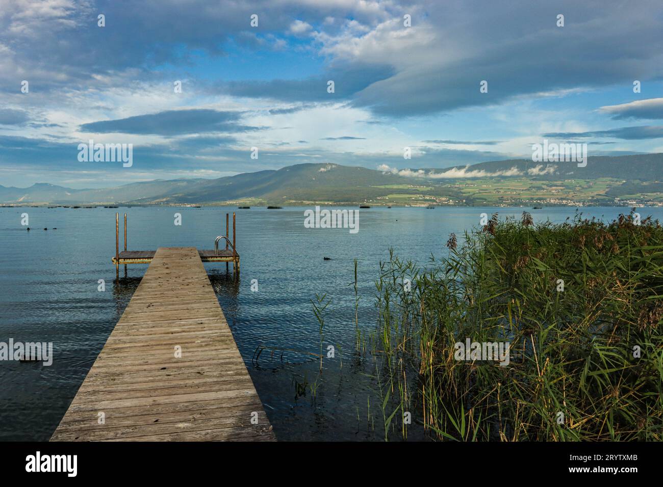 Ponton sur la rive sud du lac de Neuchâtel, Estavayer-le-lac, Freiburg, Suisse Stockfoto