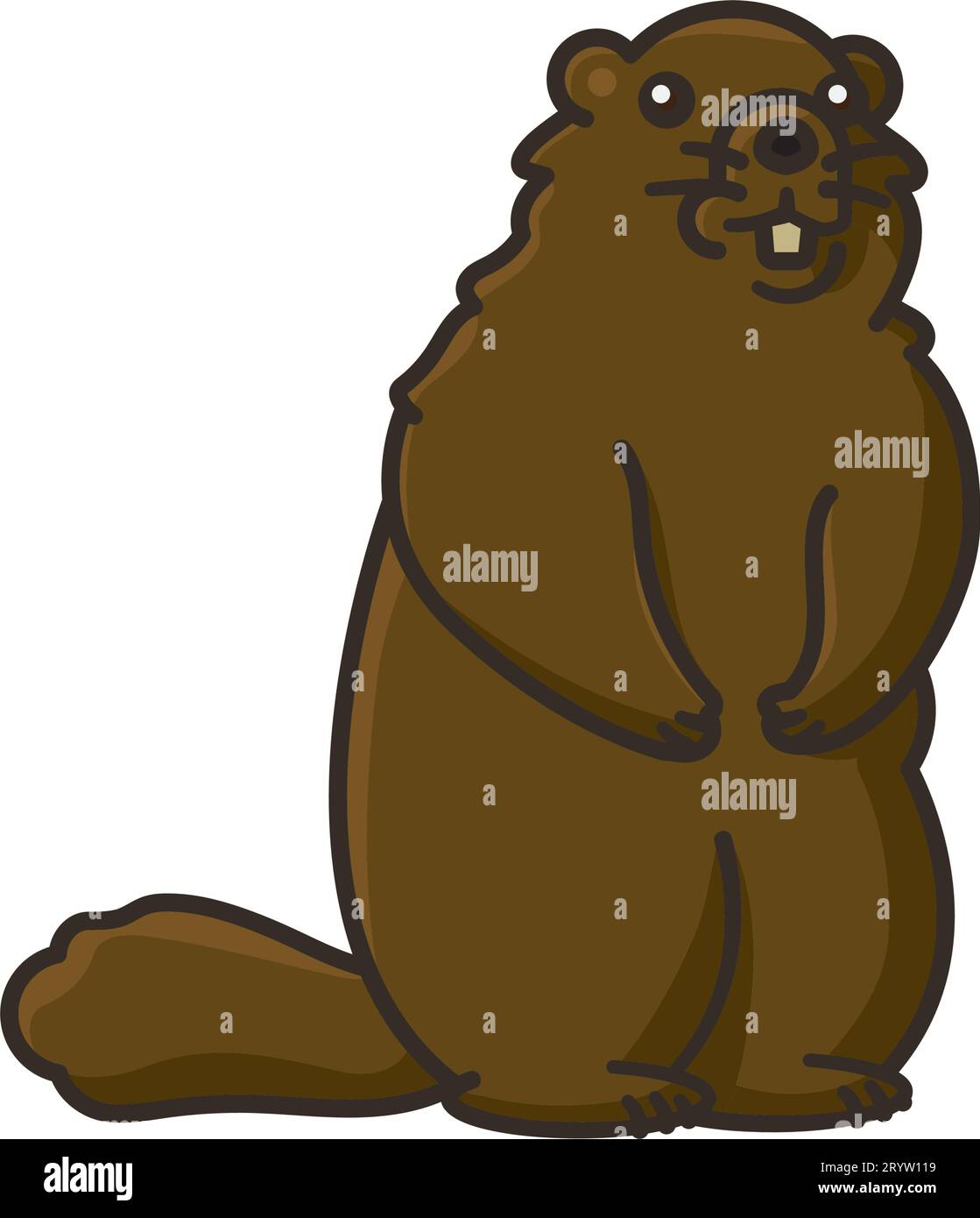 Murmeltier stehend auf Hinterbeinen Karikatur isolierte Vektor-Illustration für Marmot Day am 2. Februar Stock Vektor