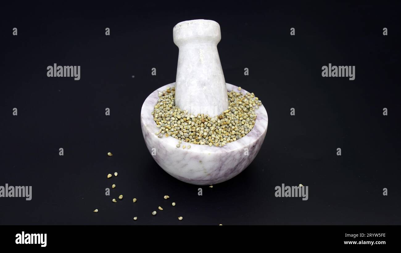 Pearl Millet Seeds sind auch als Bajra, Bajri, Bulrush Millet oder Indian Millet bekannt. Eine gesunde Ernährung, sehr nahrhaft, Gesundheit und Ballaststoffreiches Bajra-Getreide Stockfoto