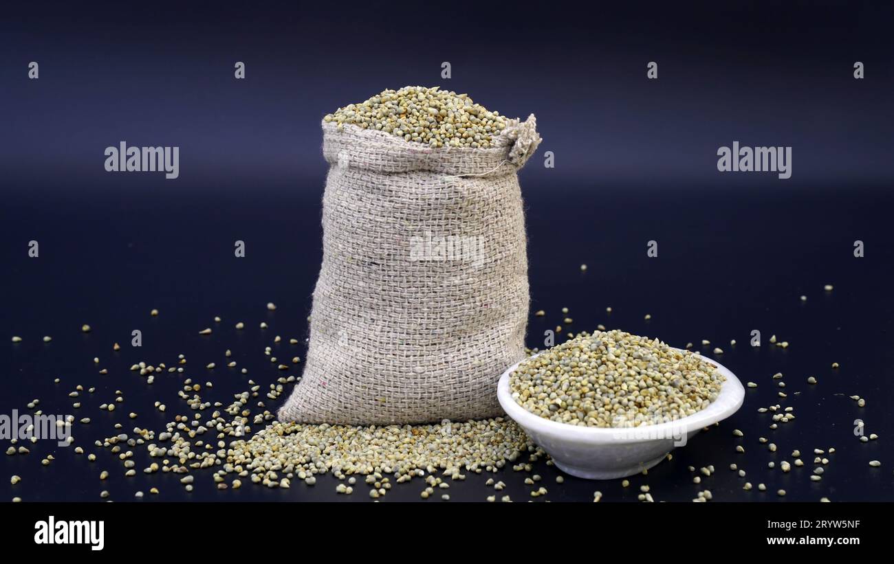 Pearl Millet Seeds sind auch als Bajra, Bajri, Bulrush Millet oder Indian Millet bekannt. Eine gesunde Ernährung, sehr nahrhaft, Gesundheit und Ballaststoffreiches Bajra-Getreide Stockfoto