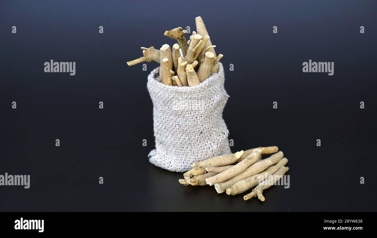 Withania-somnifera-Pflanze. Allgemein bekannt als Ashwagandha (Winterkirsche), ist eine wichtige Heilpflanze, die in Ayurved verwendet wurde. Indischer Ginseng Stockfoto