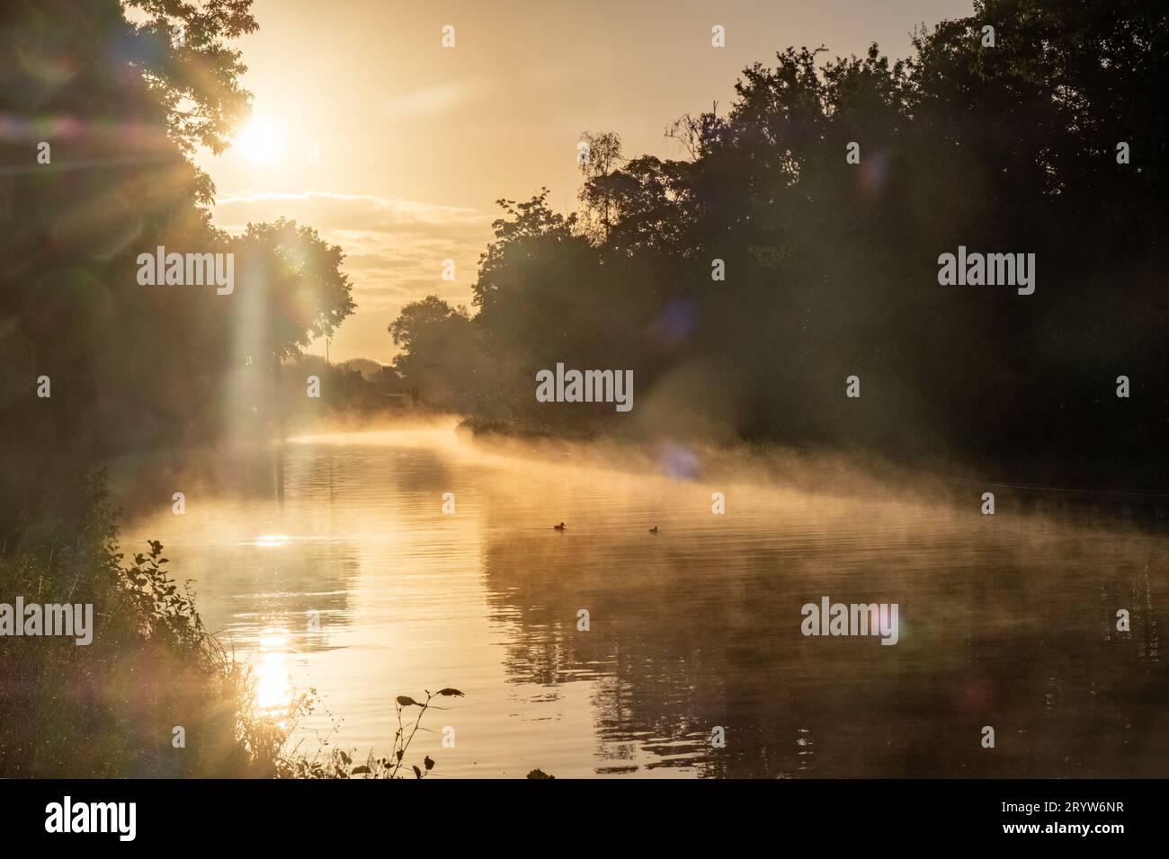 Mystischer Morgen: Sonnenlicht durchdringt den Misty River, Foto von Sonne, die durch den Morgennebel über dem Wasser eines Flusses scheint Stockfoto