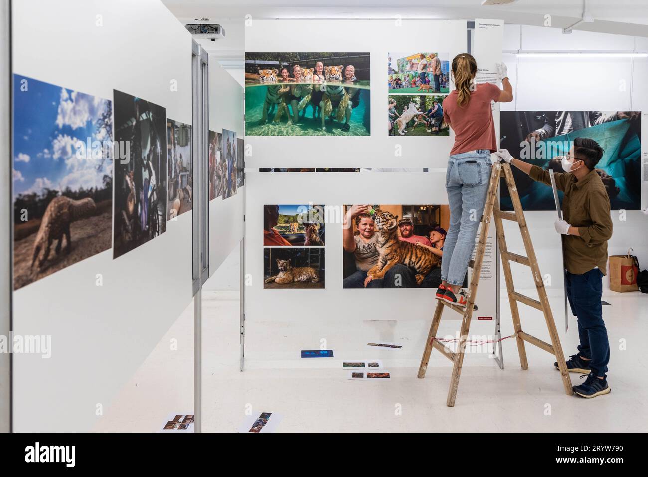 Die Arbeiter versuchen, die Weltpresse-Fotoausstellung einzurichten. Die Ausgabe 2020 dieses globalen Showcases wurde in letzter Minute verlegt, da von der lokalen Universität, die Gastgeber war, ungenannte Sicherheits- und Sicherheitsbedenken zitiert wurden. Mit 45 Spielberichten und über 150 Fotos des weltweit besten Fotojournalismus besuchten Ende März/Anfang April 2021 mehr als 10.000 Besucher die Ausstellung über einen Zeitraum von zwei Wochen. (Foto von Ben Marans/SOPA Images/SIPA USA) Stockfoto
