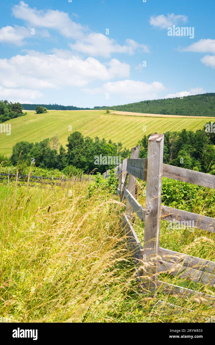 Sommerlandschaft mit Zaun Stockfoto