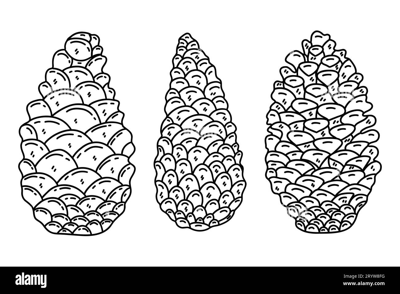 Set aus drei Kiefernkegeln auf weißem Hintergrund. Schwarz-weiß isolierte Vektorillustration Doodle. Von Hand gezeichnetes Symbol oder Karte, Designelement Stock Vektor