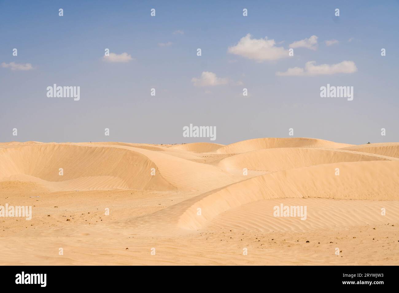 Die Sanddünen in der Sahara während des heißen Sommertages in Südtunesien. Stockfoto