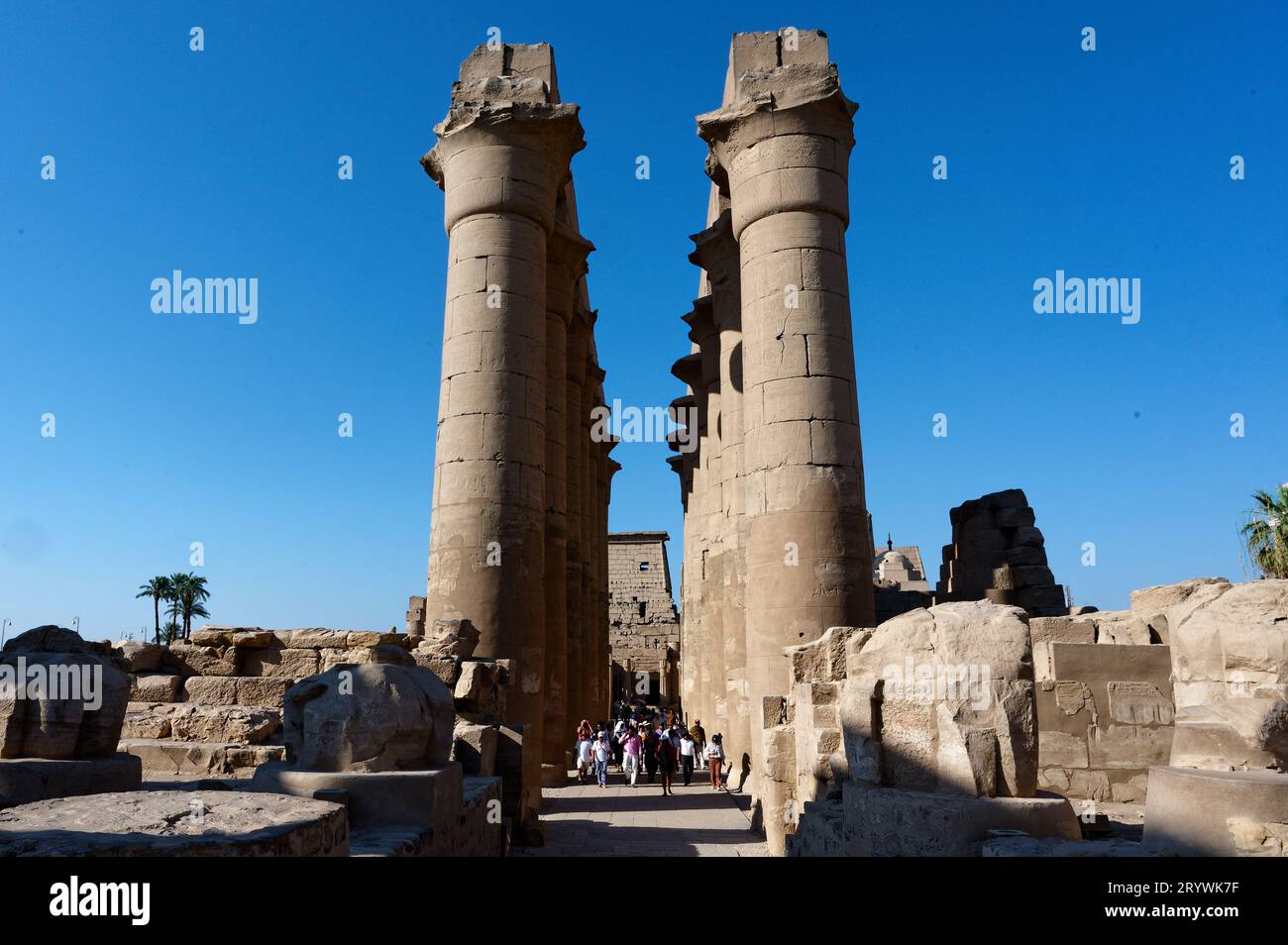 Erkunden Sie den Tempel von luxor: Eine Tourgruppe, die vom Eingang umgeben von gigantischen Säulen zu den antiken Ruinen im Komplex schlendert. Stockfoto