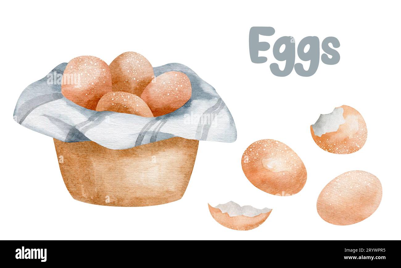 Aquarellproduktabbildung von Eiern in Korb und Schale. Isolierte natürliche Öko-Produkte auf weißem Hintergrund handgezeichnet. Stockfoto