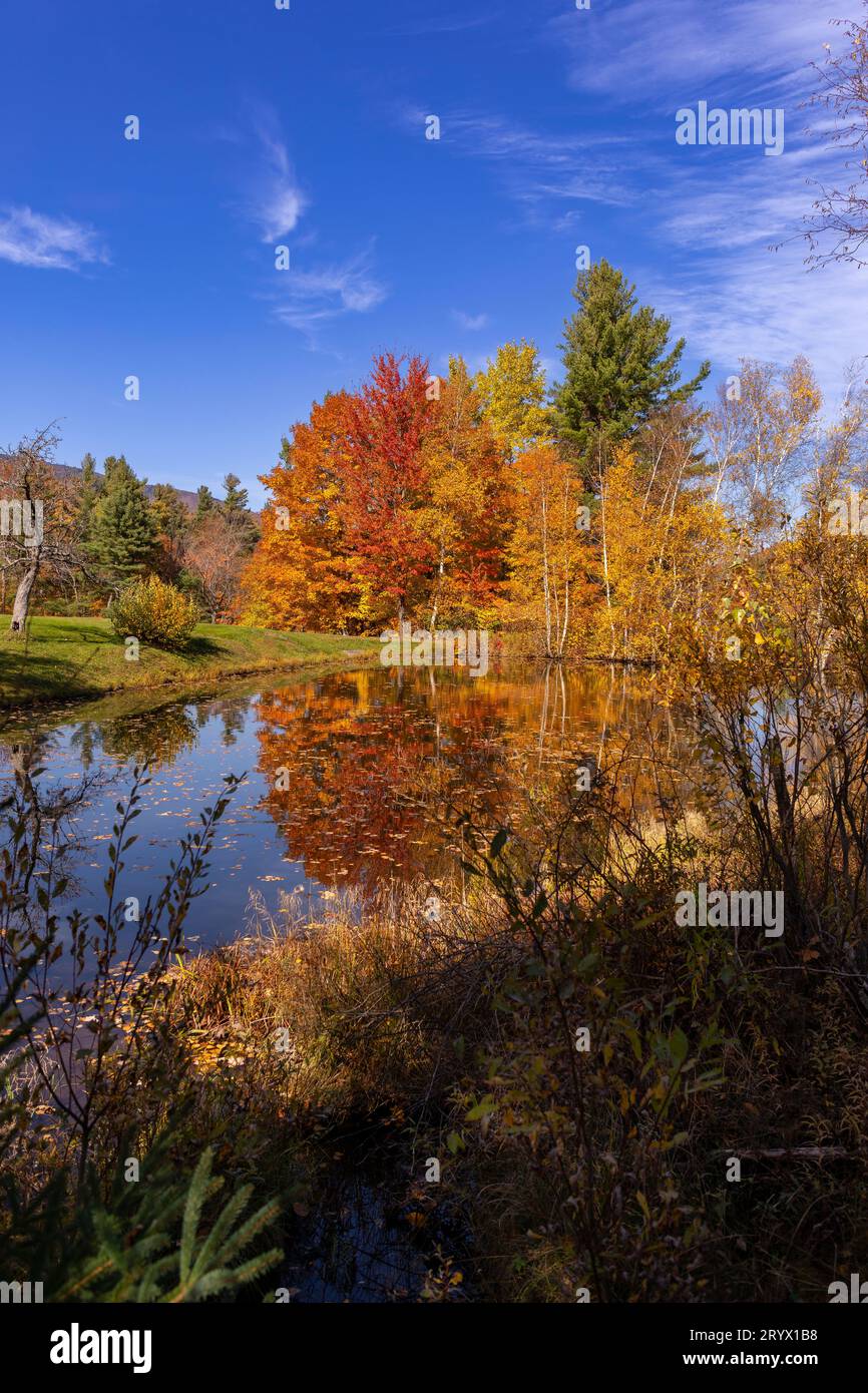 WARREN, VERMONT, USA – Teich und Herbstlaub im Mad River Valley, Green Mountains. Stockfoto