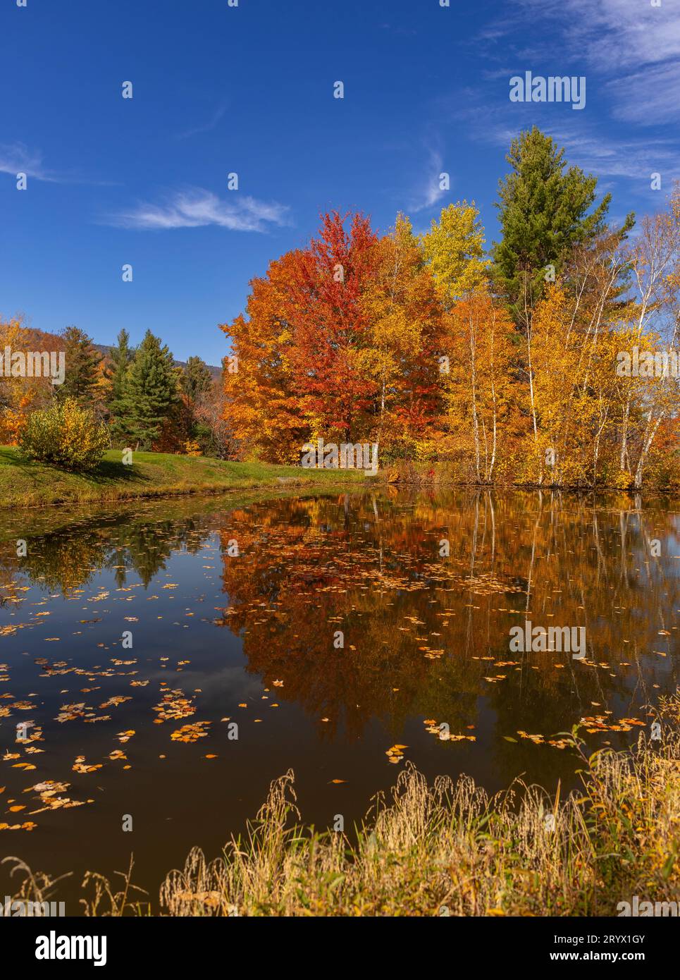 WARREN, VERMONT, USA - Herbstlaub in Mad River Valley, Green Mountains. Stockfoto