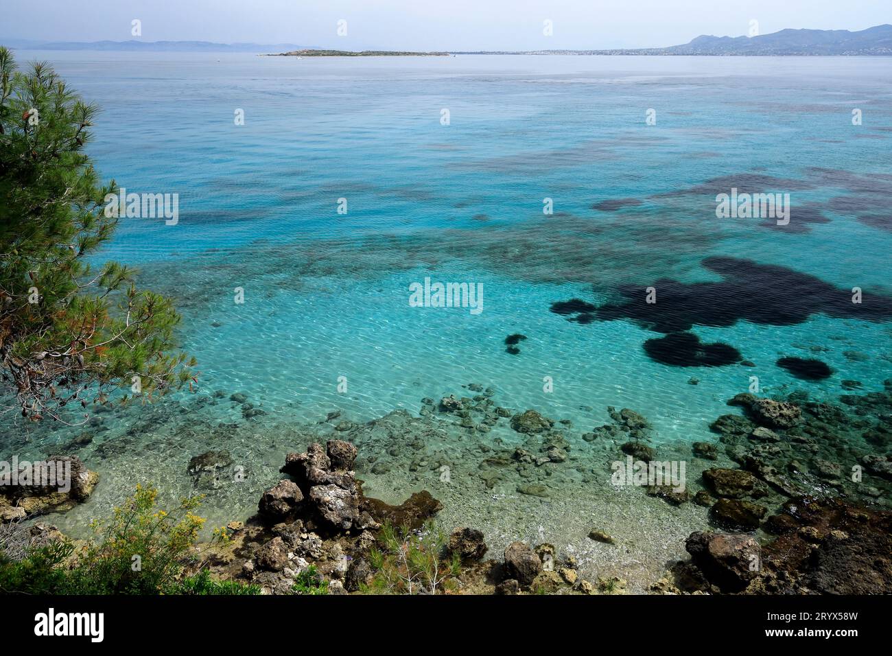 Türkisfarbenes Meer mit Unkrautbeeten aus Neptungras und felsiger Küste, Insel Agistri, Saronische Inselgruppe, Griechenland. Vom Mai 2023 Stockfoto
