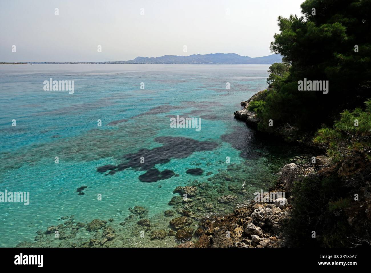 Türkisfarbenes Meer mit Unkrautbeeten aus Neptungras und felsiger Küste, Insel Agistri, Saronische Inselgruppe, Griechenland. Vom Mai 2023 Stockfoto