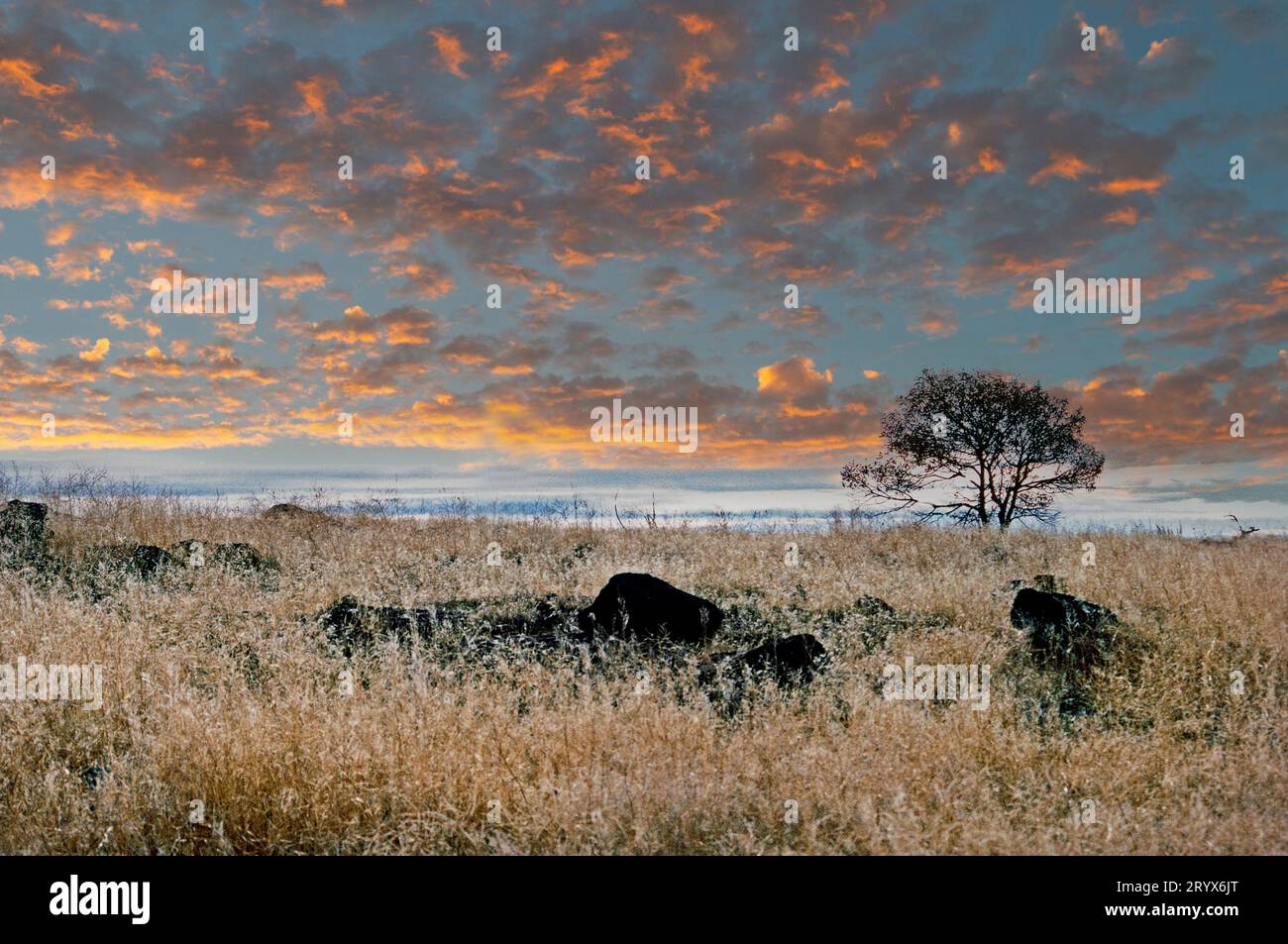 Tule Lake National Wildlife Refuge, Siskiyou und Modoc County, Kalifornien, USA Stockfoto