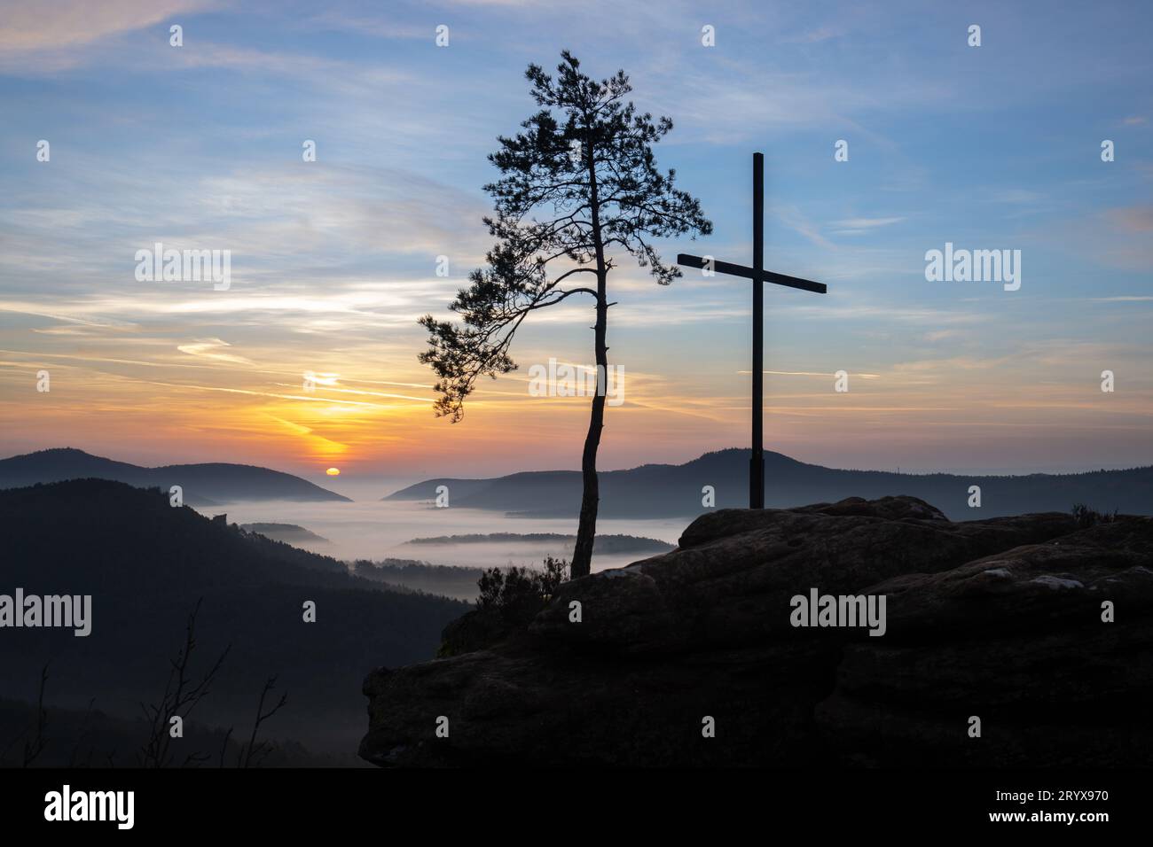 Zauberhaftes Erwachen: Sonnenaufgang im Pfälzerwald mit einem Nebel Stockfoto
