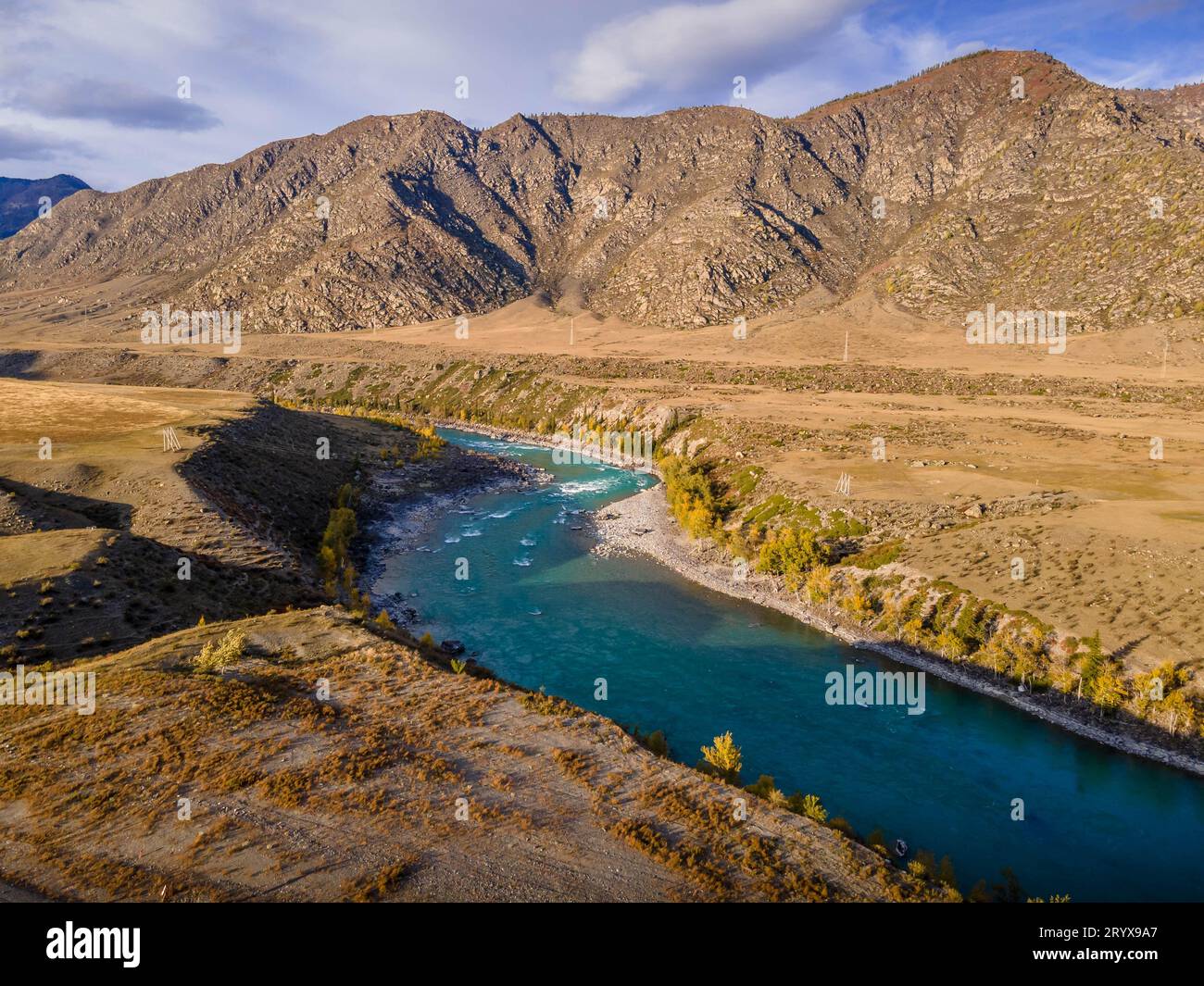 Luftbild des malerischen Flusses Katun im Altai-Gebirge in Sibirien, Russland. Stockfoto
