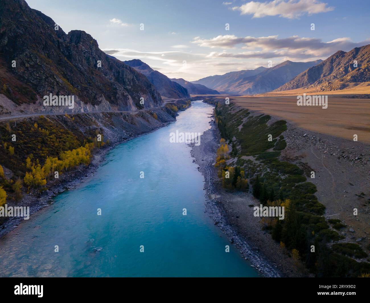 Luftbild des malerischen Flusses Katun im Altai-Gebirge in Sibirien, Russland. Stockfoto