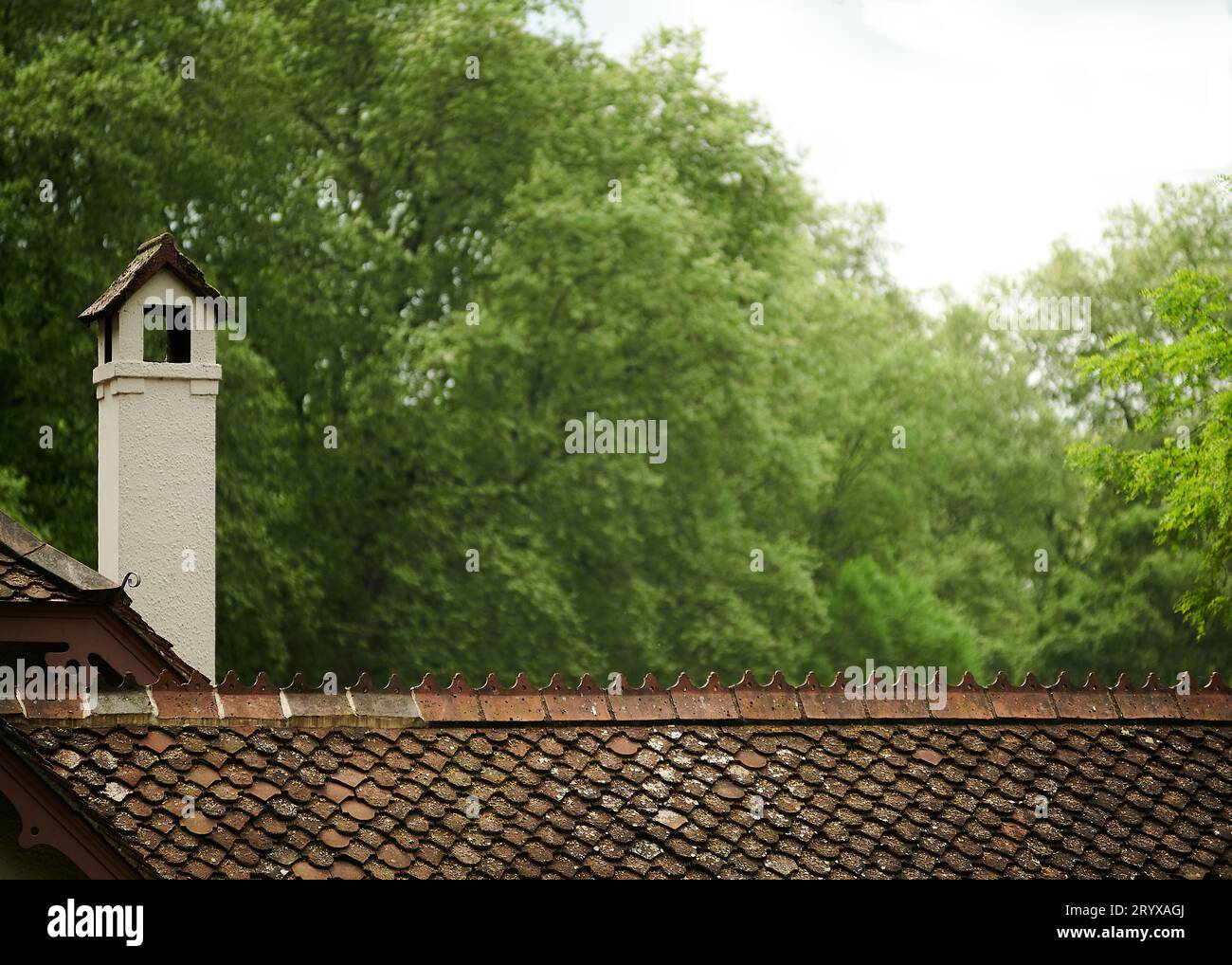Rot gekachelte Dachplatte mit grünen Bäumen in unscharfem Hintergrund Stockfoto