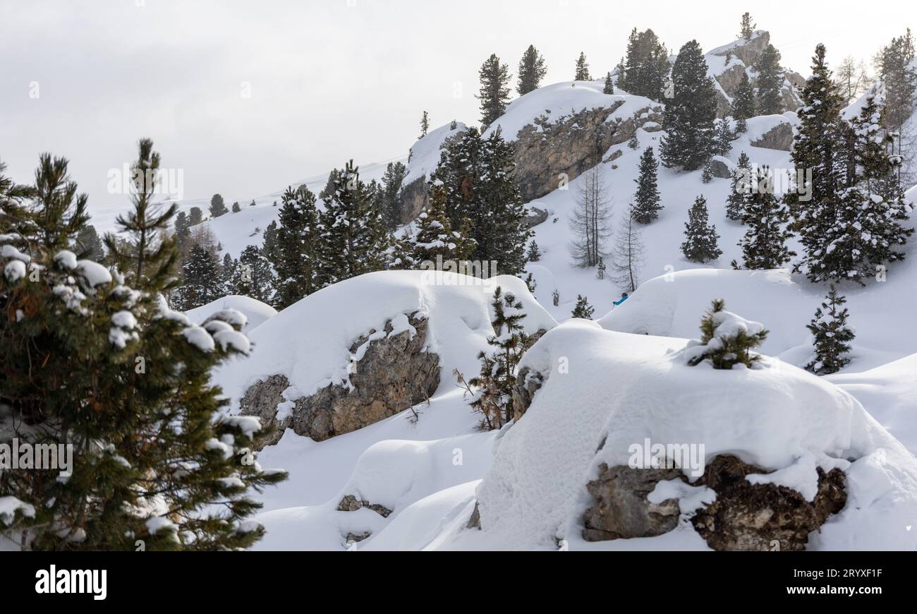 Wunderschöne Winteraussichten, Steine und Bäume unter Schnee. Hochwertige Fotos Stockfoto