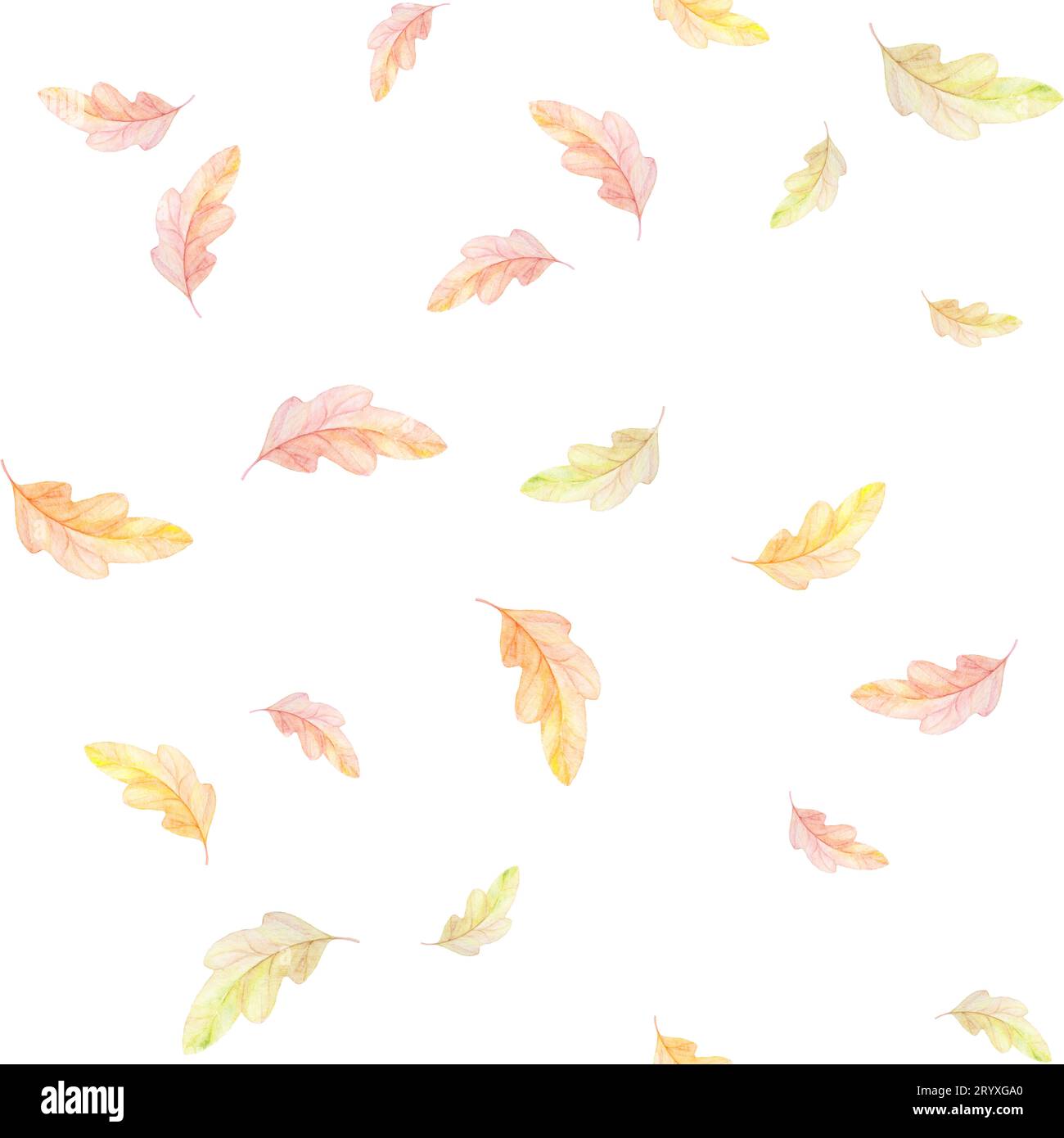 Aquarellblätter, Herbstmuster, Nahtlose Aquarellmuster, Waldmuster Illustrationen Stockfoto