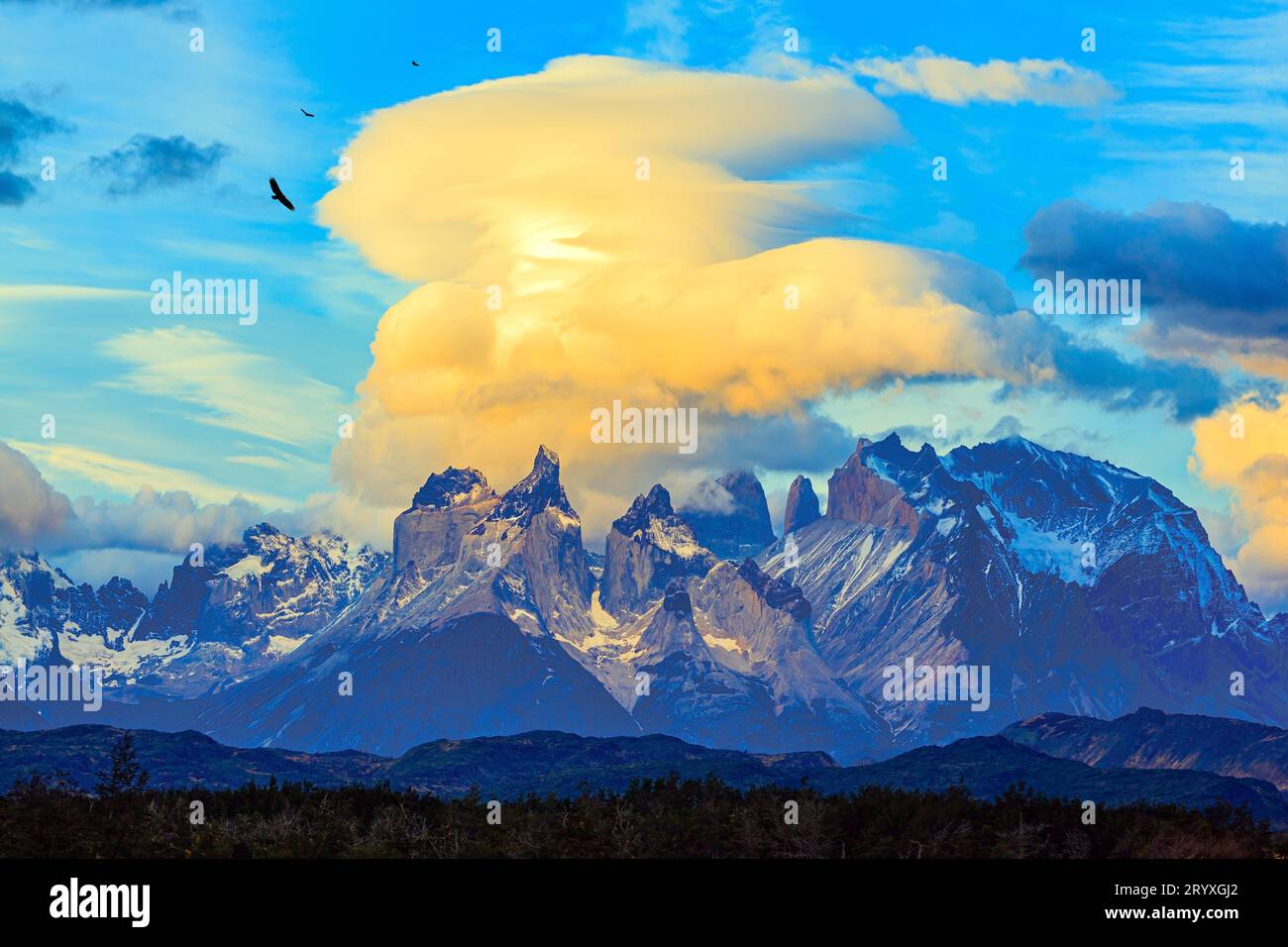 Die Türme von Cuernos del Paine Stockfoto
