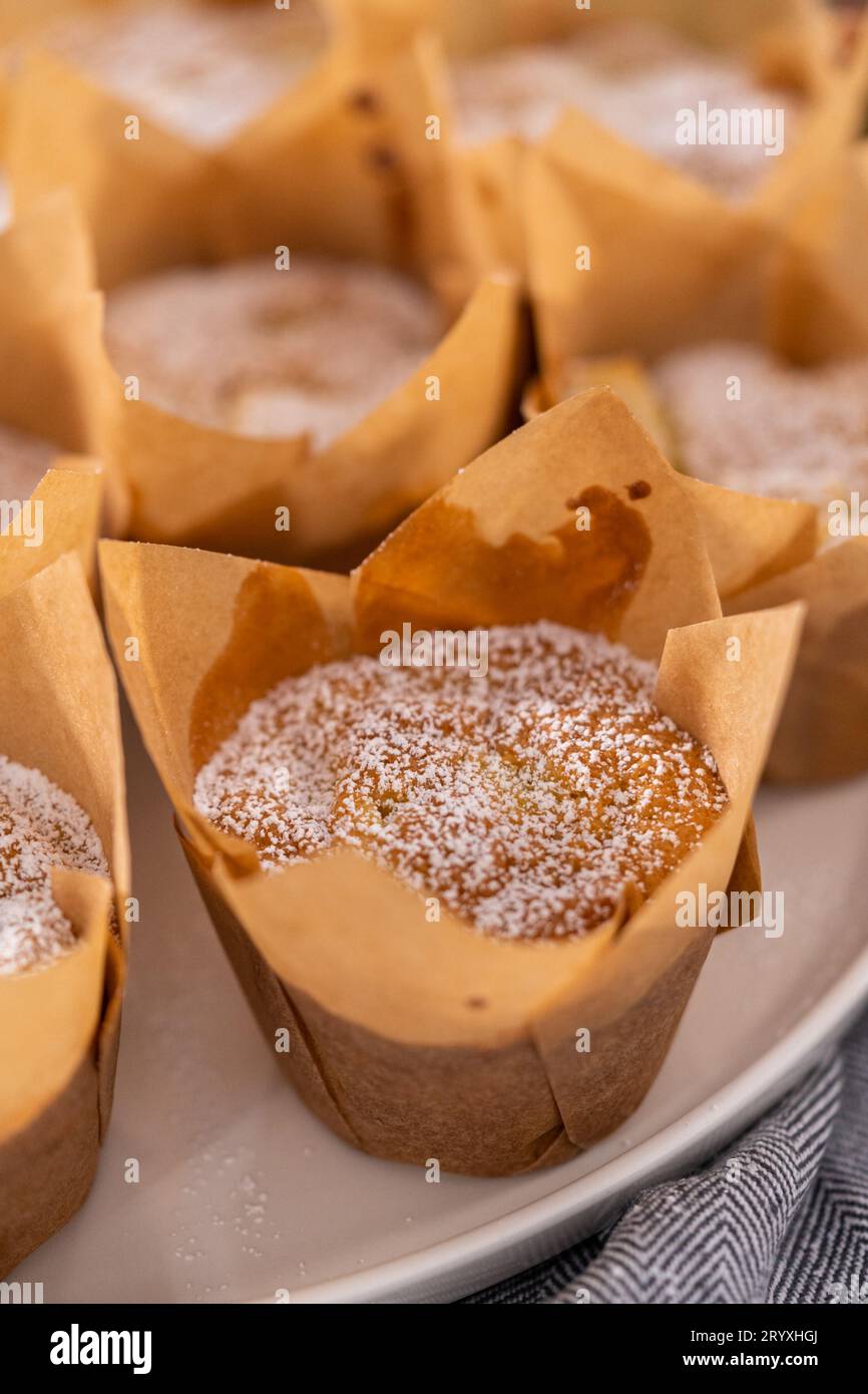 Muffin der Apfelscharotka Stockfoto