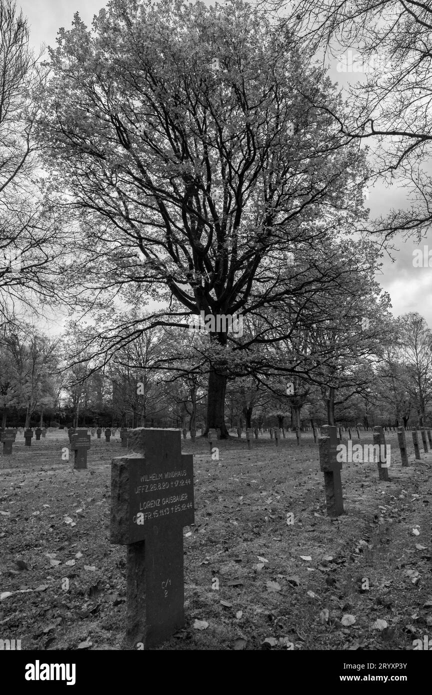 Der deutsche Kriegsfriedhof Sandweiler in Luxemburg. Es enthält die Gräber von 10.913 deutschen Soldaten, die 1944–1945 in der Ardenschlacht gefallen waren. Stockfoto