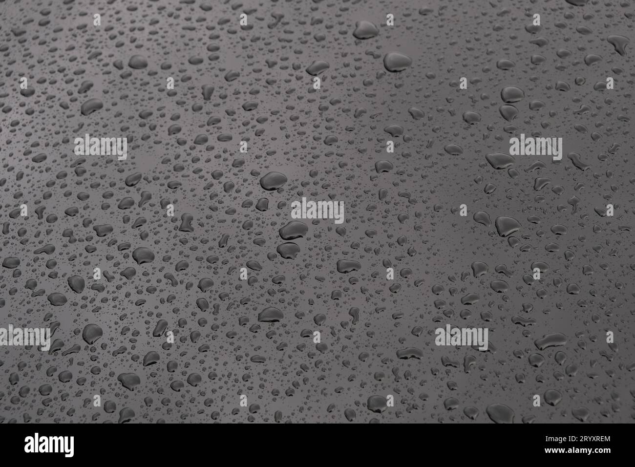 Wassertropfen abstrakte Hintergrundtapete auf schwarzer Farbe nasser Oberfläche. Selektiver Fokus enthalten. Stockfoto