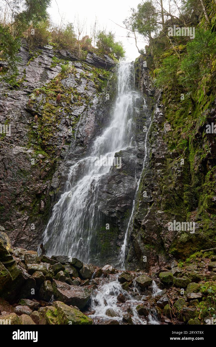 Wasserfall im Wald, Burgbach Wasserfall bei Schapbach, Schwarzwald, Baden-Württemberg, Deutschland Stockfoto