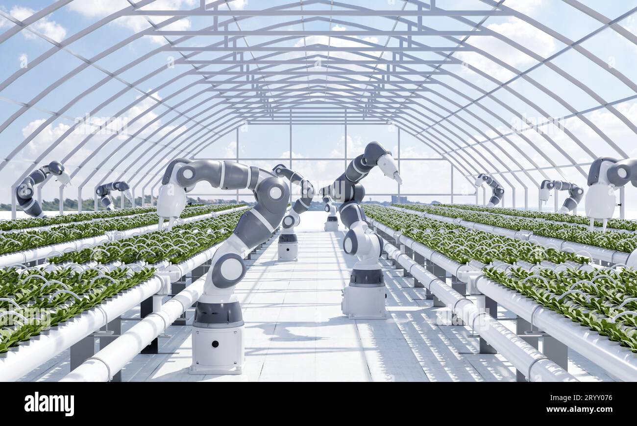 Intelligente Farm mit Roboterhänden, die Gemüse im Gewächshaus mit Himmelshintergrund anbauen und ernten. Innovative Technologie und Landwirtschaft Stockfoto