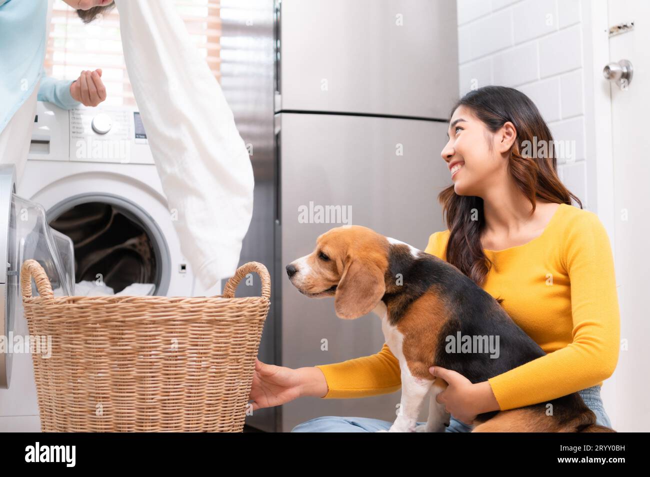 Beagle-Hund hilft den Leuten im Haus, Kleidung in die Waschmaschine zu legen. Stockfoto