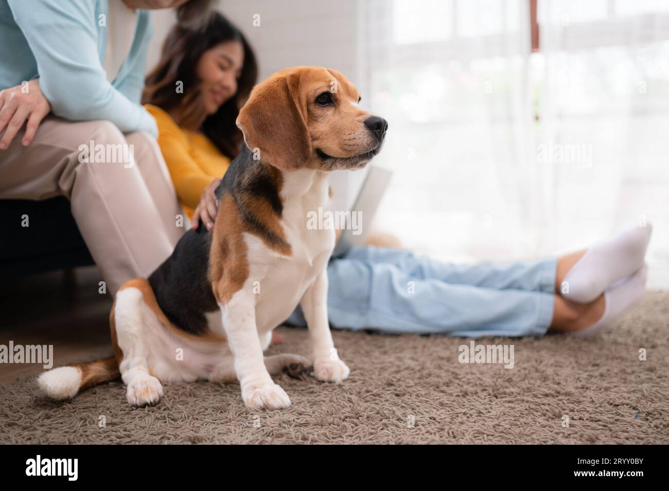 Familienurlaub, Mutter, Tochter und Beagle Hündchen, die sich am Wochenende im Freizeitraum des Hauses entspannen Stockfoto