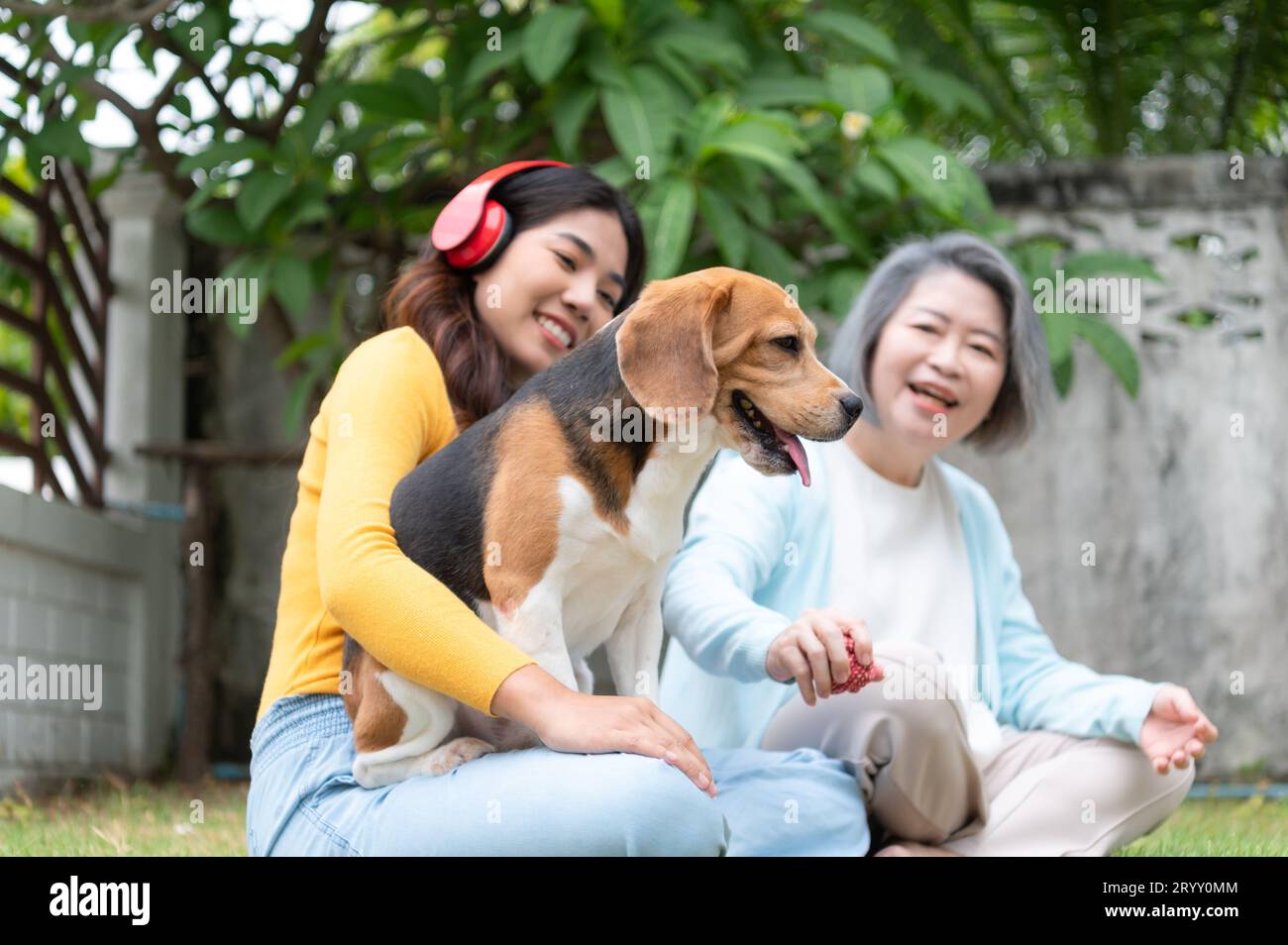 Familienurlaub, Mutter, Tochter und Beagle Hündchen entspannen sich am Wochenende im Vorgarten. Stockfoto