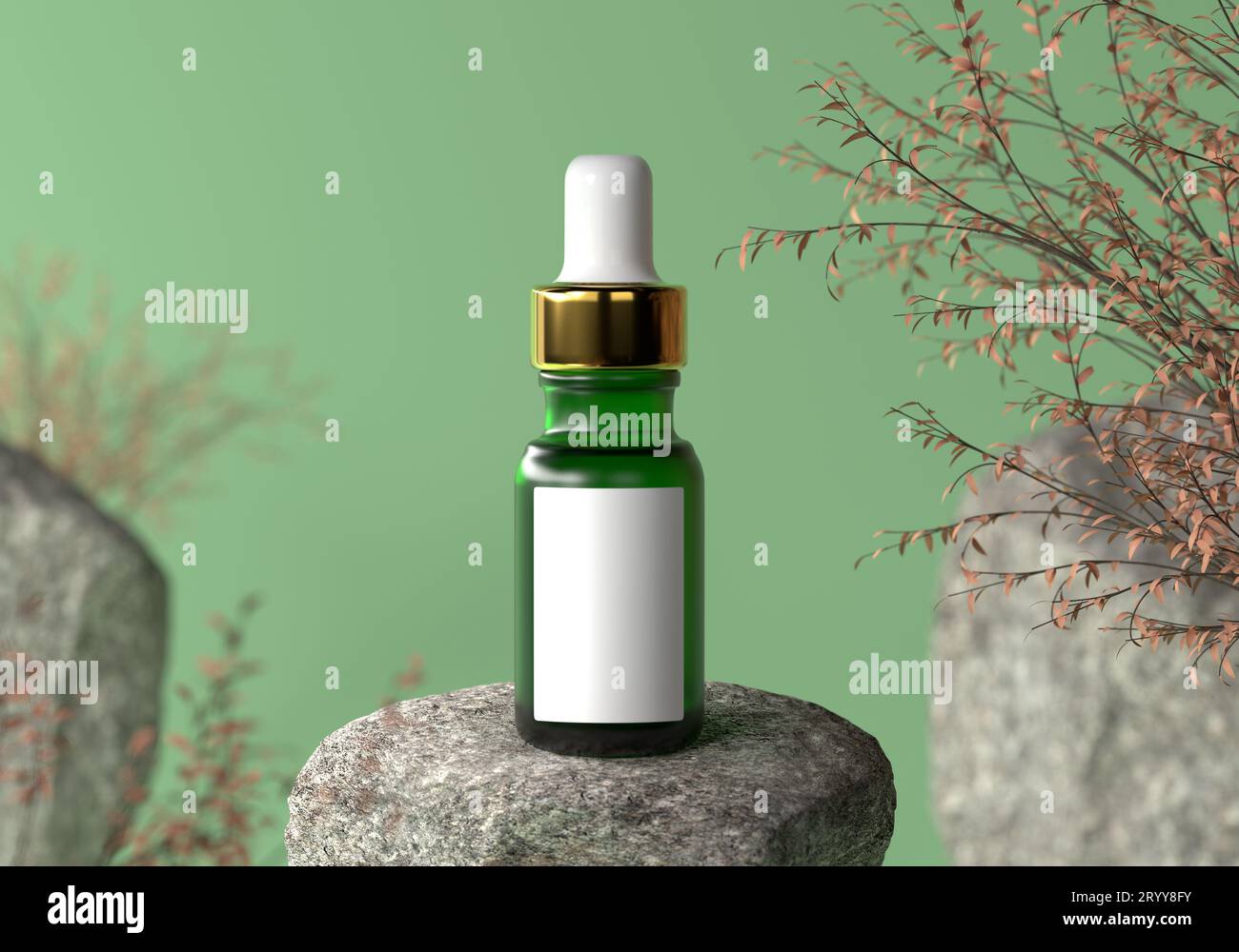 Grüne Serumflasche mit goldenem Verschluss und weißem leerem Etikett für Werbetext und Logo auf Naturgestein und Trockenpflanze im Frühjahr oder Stockfoto