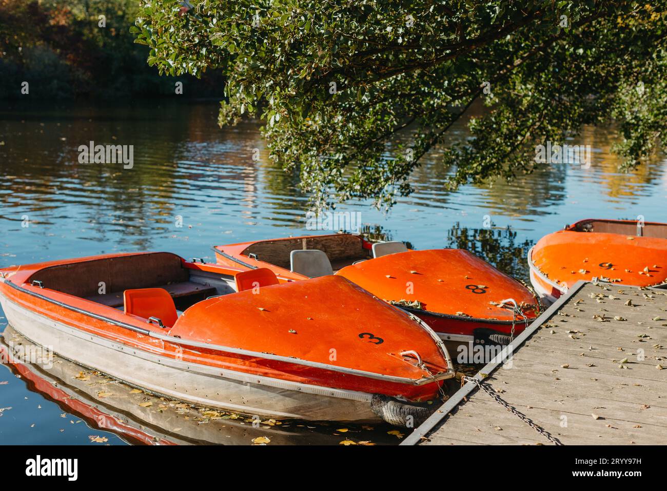 Mehrere Boote mit Rudern liegen am Wasserrand am Pier im Stadtpark für Wasserspaziergänge auf dem Fluss, See oder Teich. Stockfoto