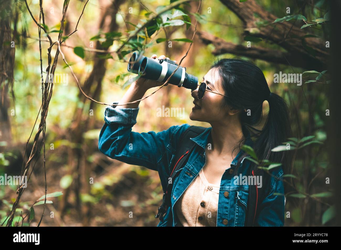 Schöne asiatische Frau mit Fernglas Teleskop in Wald aussehendes Ziel. Lebensstil und Freizeitaktivitäten der Menschen. Natur und Stockfoto