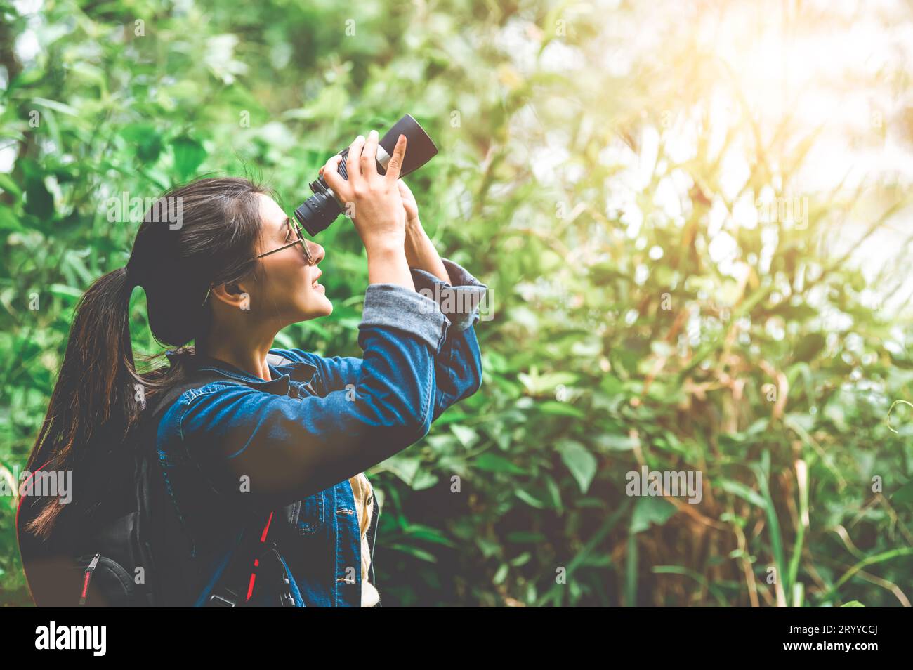 Schöne asiatische Frau mit Fernglas Teleskop in Wald aussehendes Ziel. Lebensstil und Freizeitaktivitäten der Menschen. Natur und Stockfoto