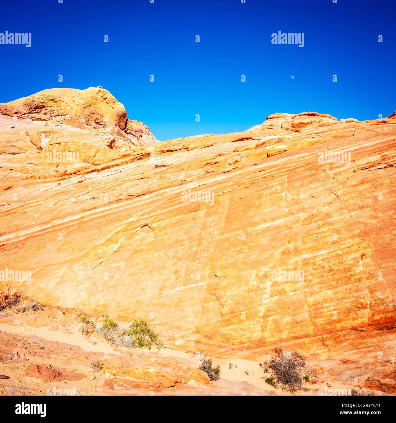 Mond, der über Felsformationen im Valley of Fire State Park in Nevada aufsteigt Stockfoto