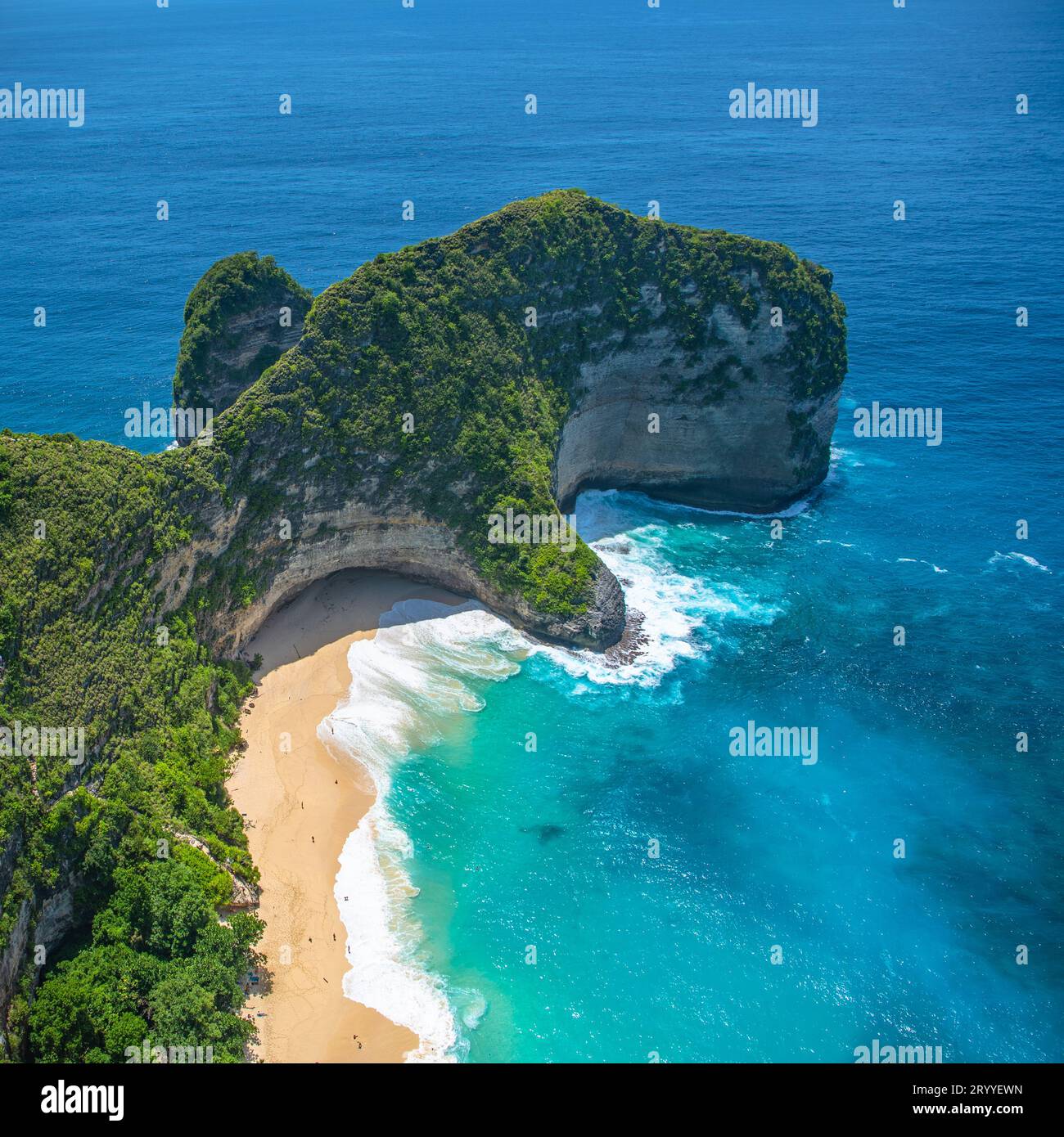 Kelingking Beach auf der Insel Nusa Penida, Bali, Indonesien Stockfoto