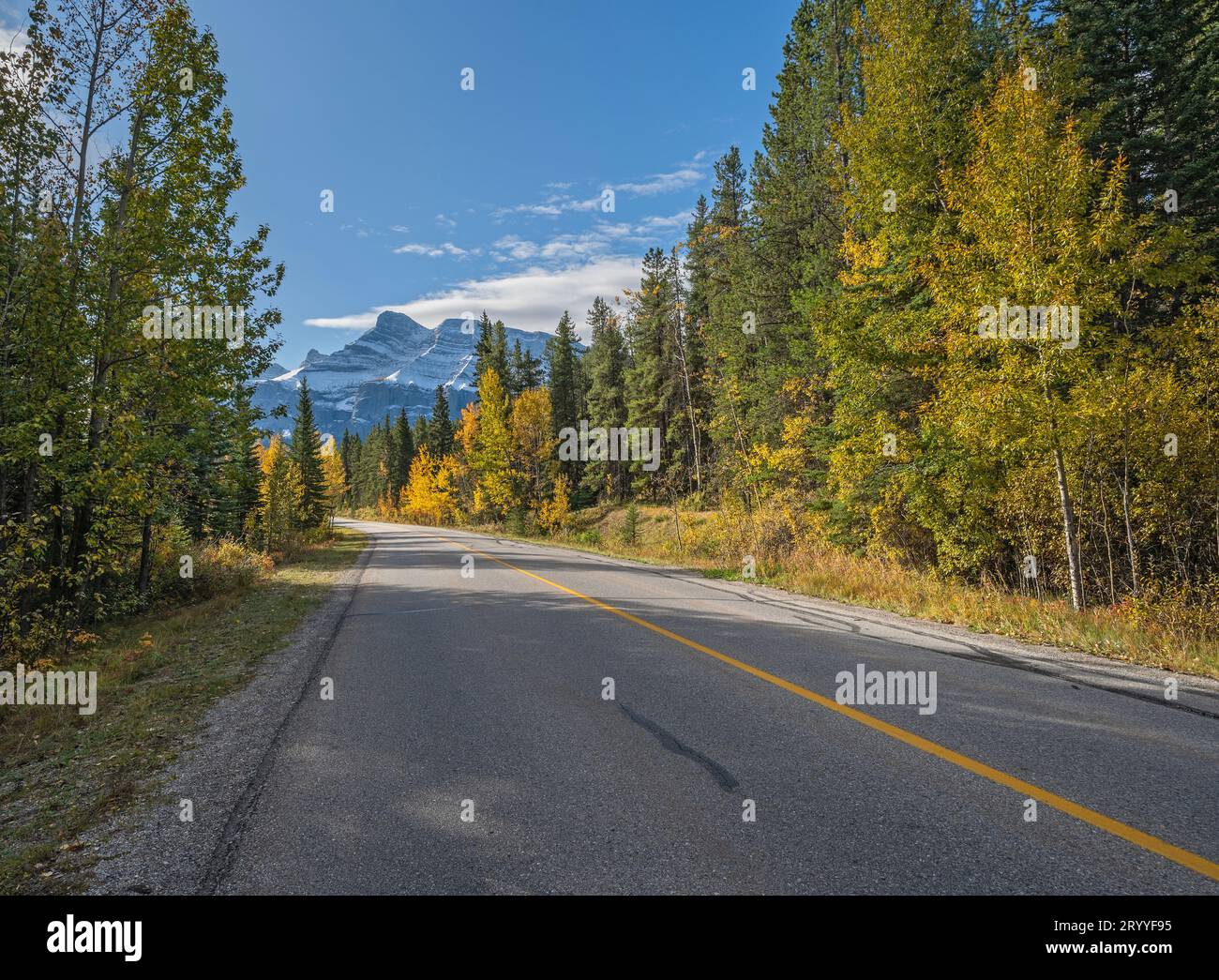 Asphaltierte Herbststraße mit Mount Rundle im Banff National Park, Alberta, Kanada Stockfoto