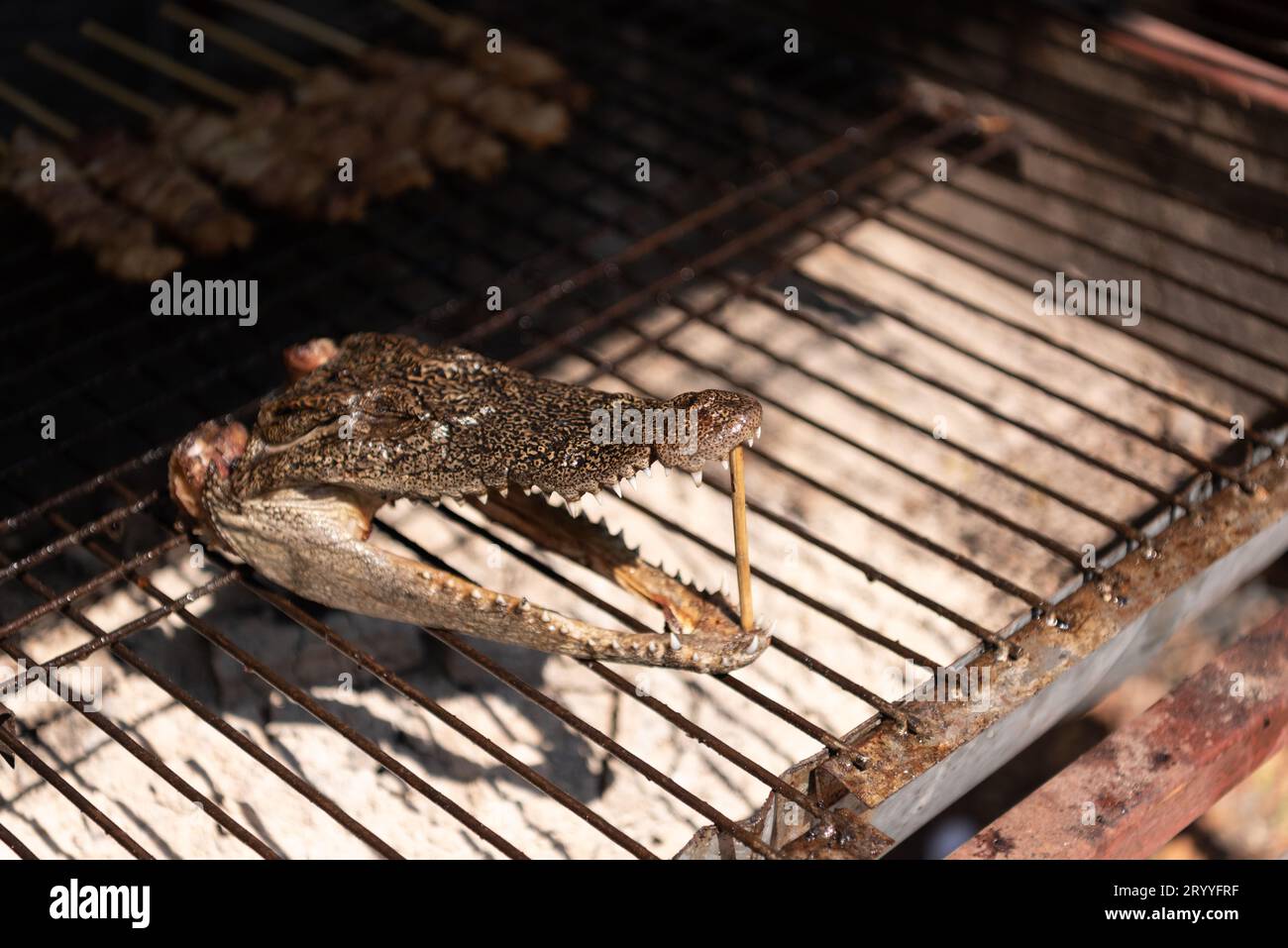 Nahaufnahme von Krokodil Kopf gebraten auf Holzkohle Ofen in Street Market. Essen und exotische Küche Konzept. Stockfoto