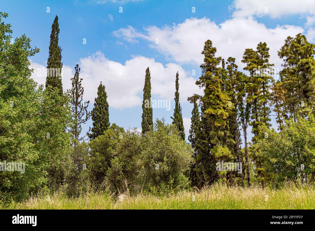 Schöner Tag Stockfoto