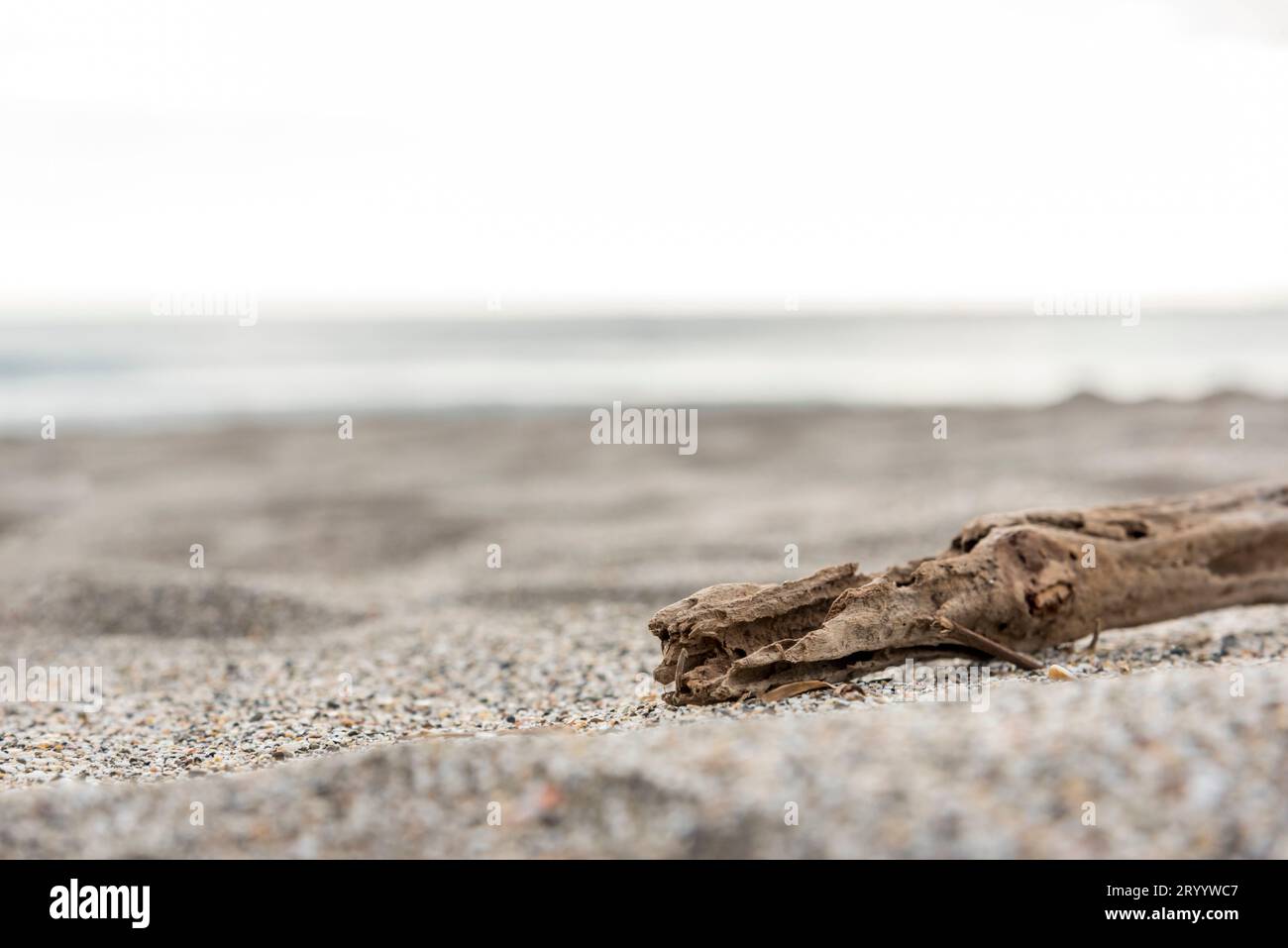 Holz Holz auf den Strand Sand in der Nähe des Meer, selektiver Fokus auf Holz Holz, Meer und entspannen Konzept Stockfoto