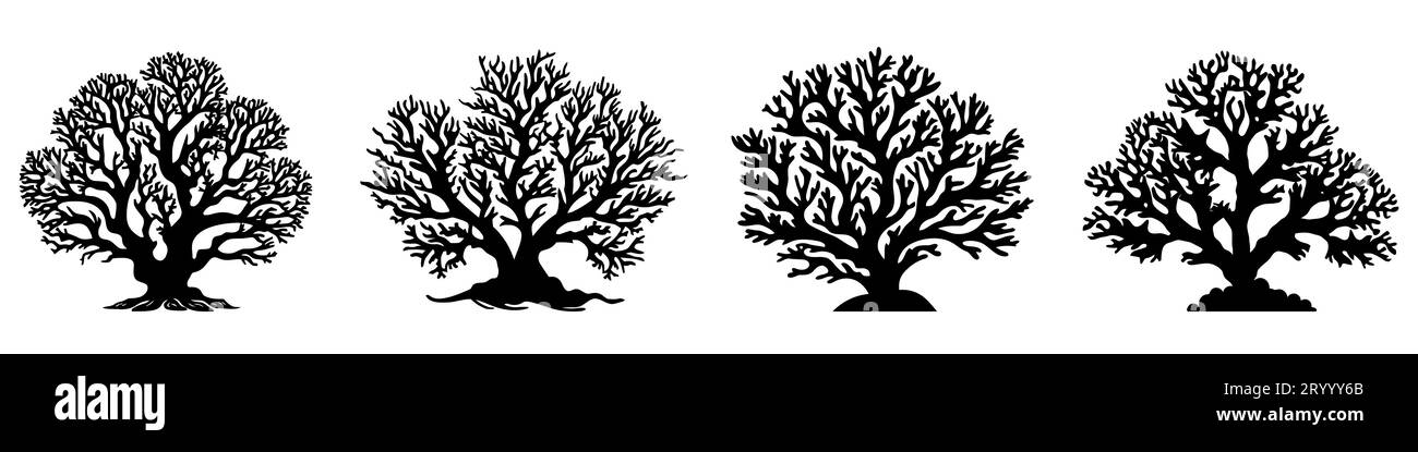 Korallensilhouetten. Korallenschwarzes Symbol Set. Isoliertes Korallenlogo. Vektorabbildung. Stock Vektor
