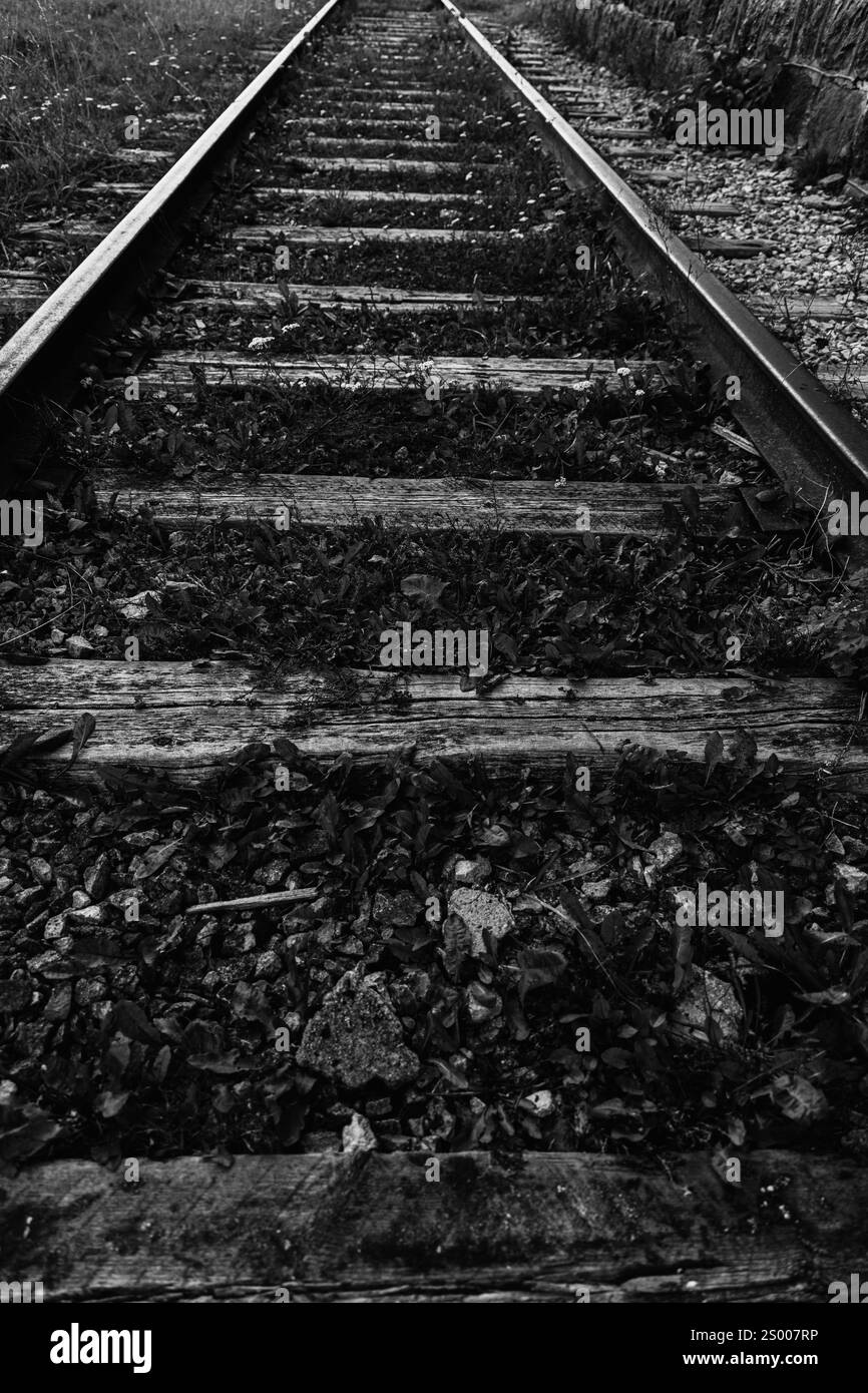 Verlassene Bahngleise in Schwarzweiß-Fotografie. Stockfoto