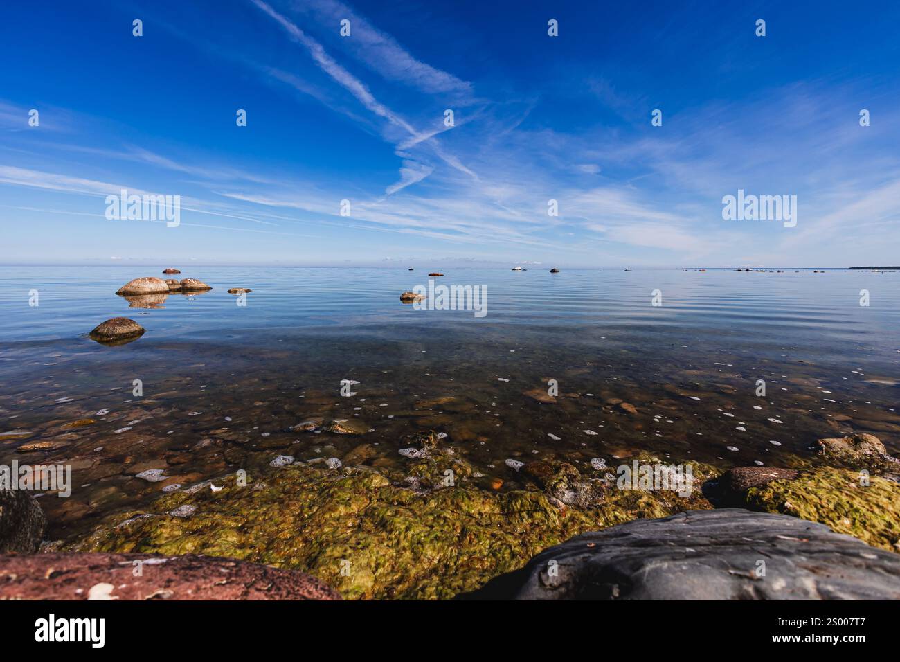 Meer mit Algen und blauem Himmel Stockfoto