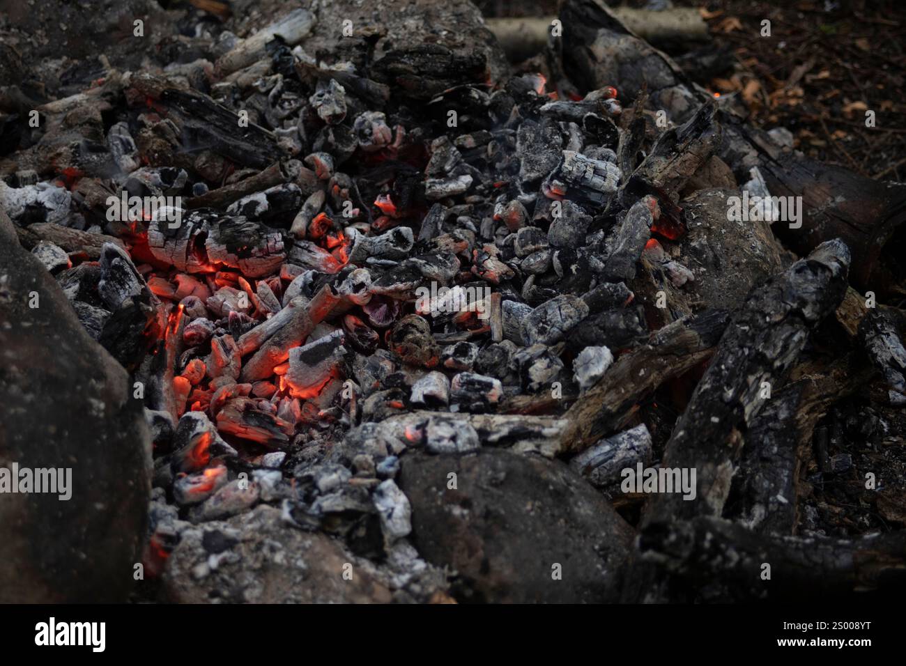 Kohlen im Feuer. Heiße Kohlen. Details eines Lagerfeuers im Wald. Stockfoto