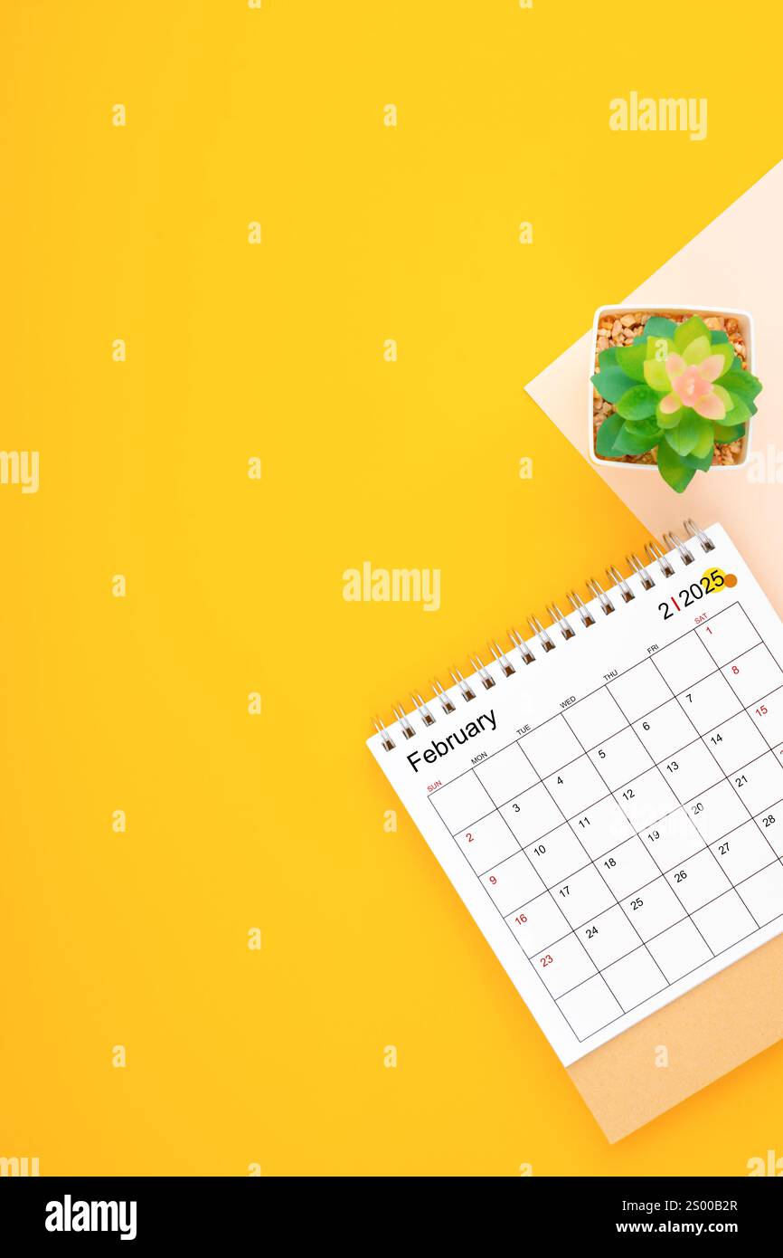 Kalenderseite für Februar 2025 und Zimmerpflanze auf gelbem Hintergrund, Planungskonzepte. Stockfoto