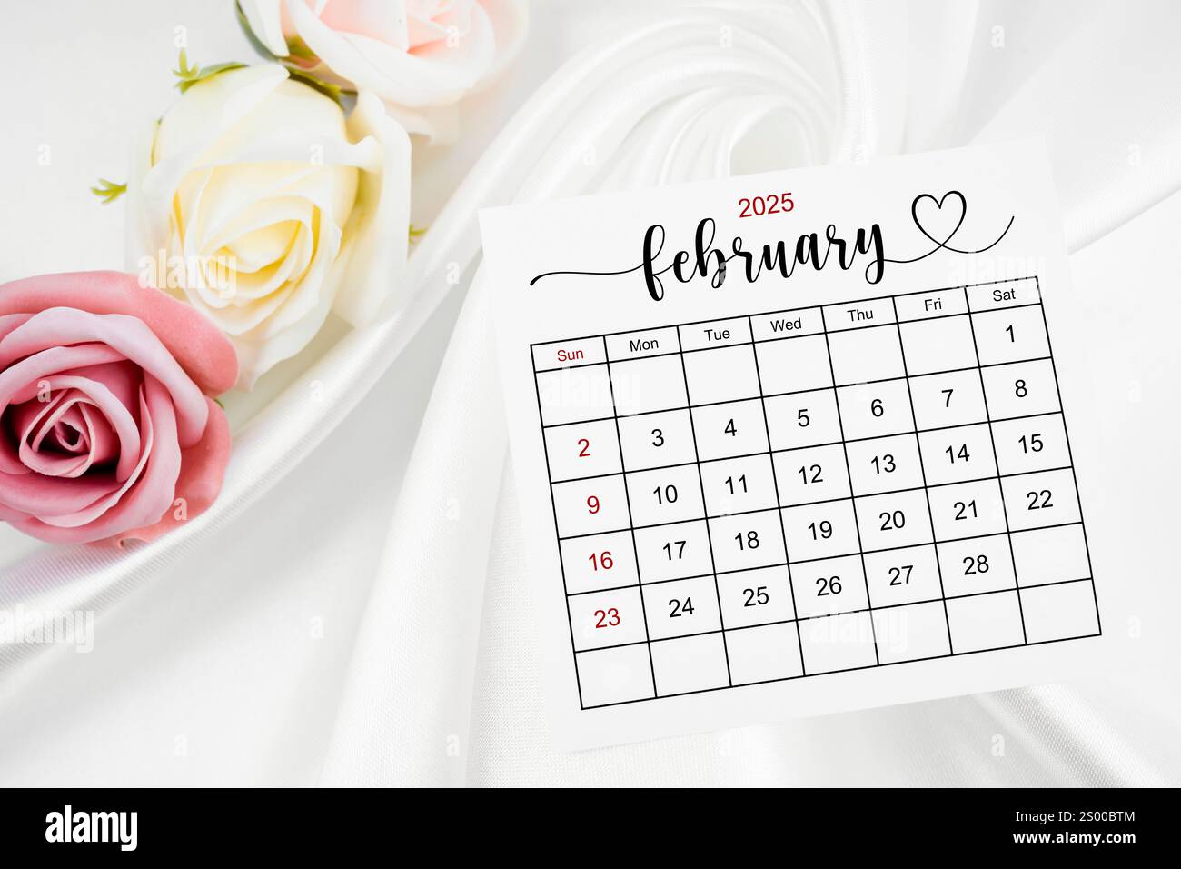 Kalenderseite Februar 2025 und Rosenblume auf weißem Satin-Textil-Hintergrund. Stockfoto