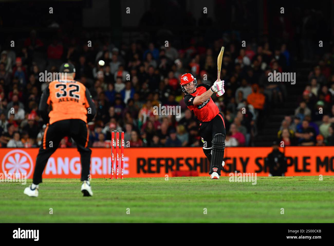 MELBOURNE AUSTRALIEN. Dezember 2024. Wicket Keeper Tim Seifert von den Melbourne Renegades während der Big Bash League, Melbourne Renegades vs Perth Scorchers im Marvel Stadium, Melbourne am 23. Dezember 2024. Quelle: Karl Phillipson/Alamy Live News Stockfoto